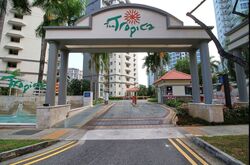 The Tropica (D18), Shop House #518699841